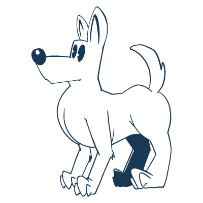 Pet Screen