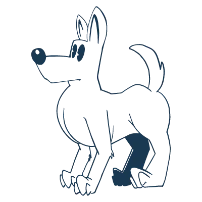 Pet Screen